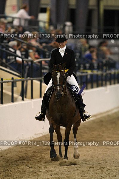 Proof 07R14_1708