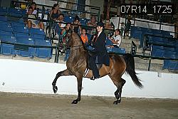 07R14_1725 proof