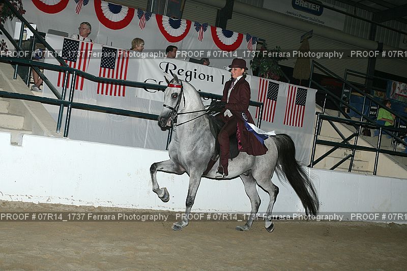 Proof 07R14_1737