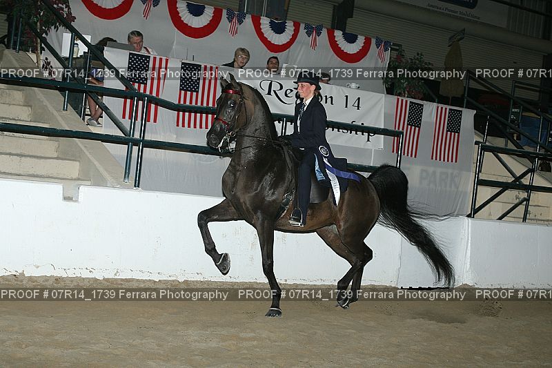 Proof 07R14_1739