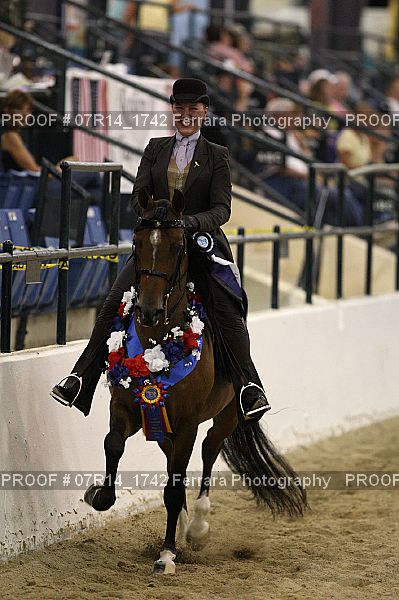 Proof 07R14_1742