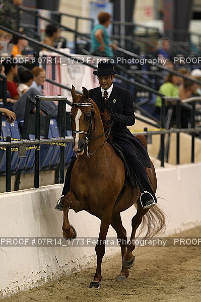 Proof 07R14_1773