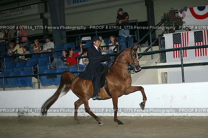 Proof 07R14_1775