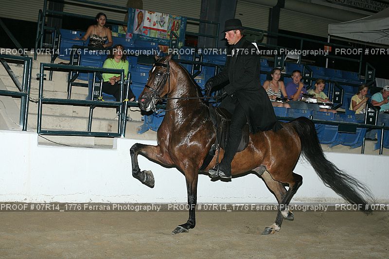 Proof 07R14_1776