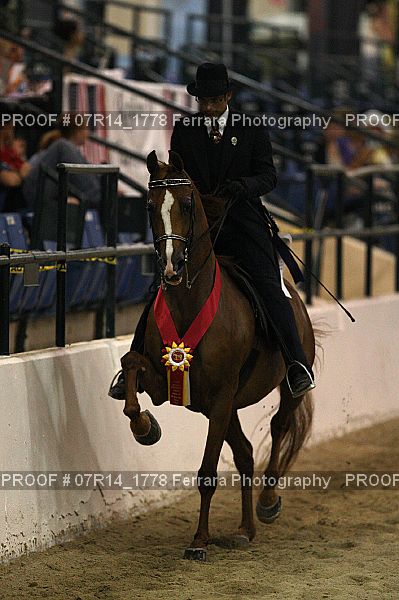 Proof 07R14_1778