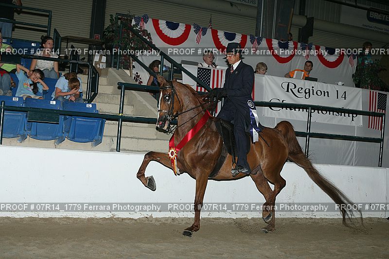 Proof 07R14_1779