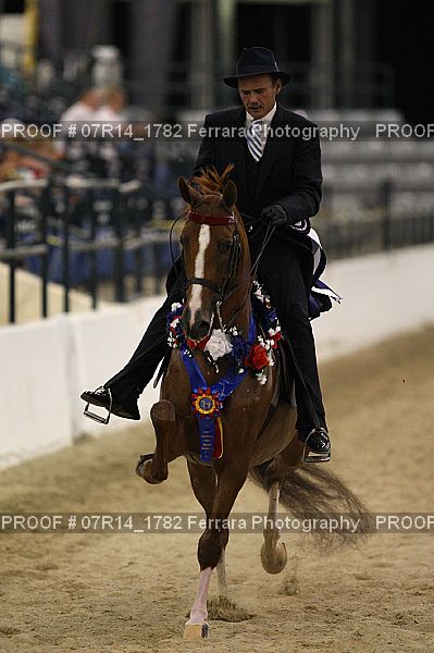 Proof 07R14_1782