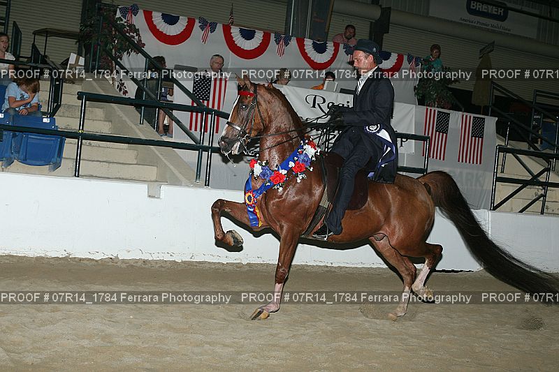 Proof 07R14_1784