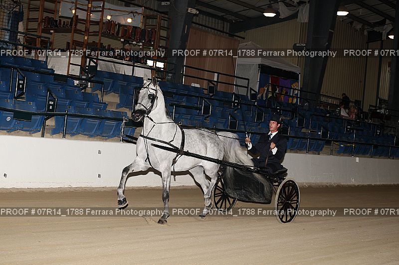 Proof 07R14_1788