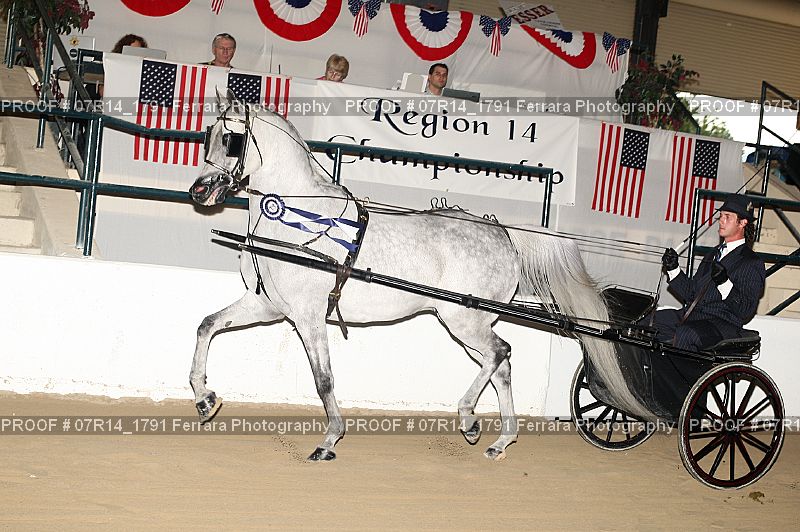Proof 07R14_1791