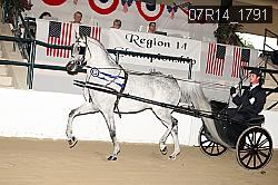 07R14_1791 proof
