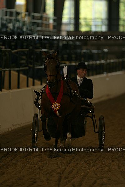 Proof 07R14_1796