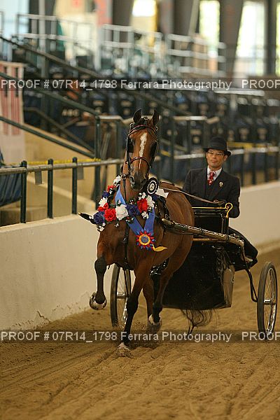 Proof 07R14_1798