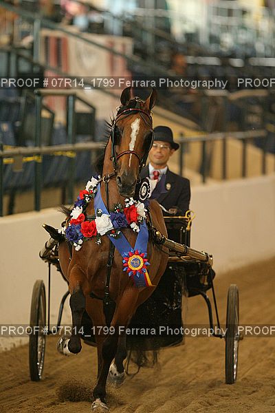 Proof 07R14_1799
