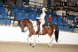 07R14_1803 proof