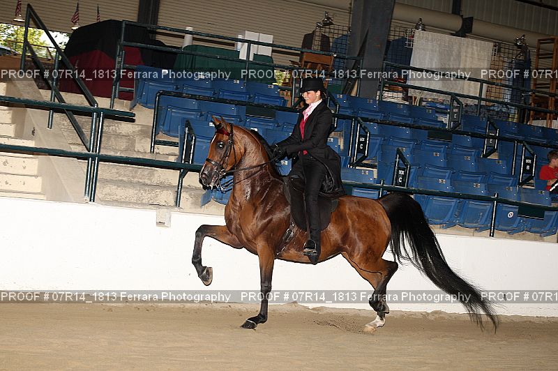 Proof 07R14_1813