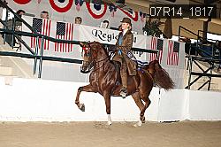 07R14_1817 proof