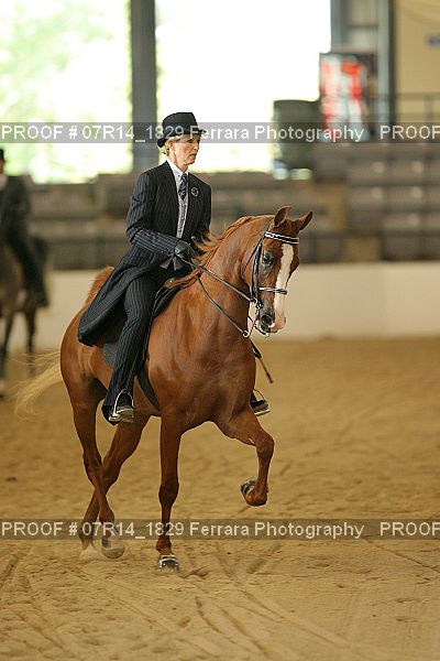 Proof 07R14_1829