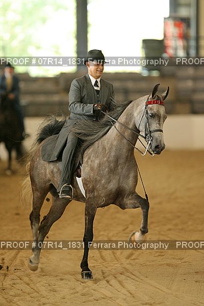 Proof 07R14_1831