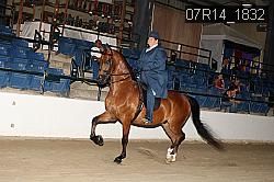 07R14_1832 proof