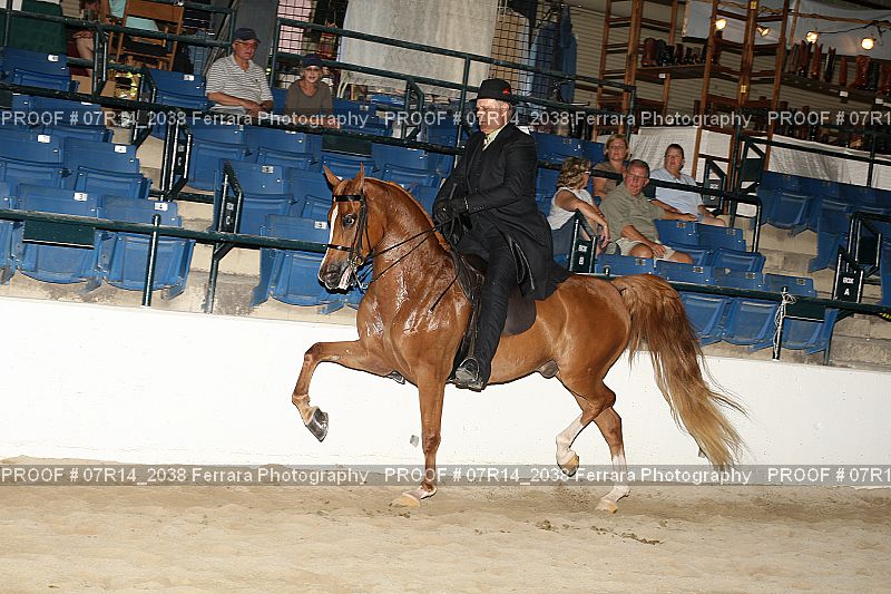 Proof 07R14_2038