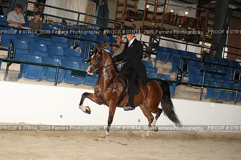 Proof 07R14_2039