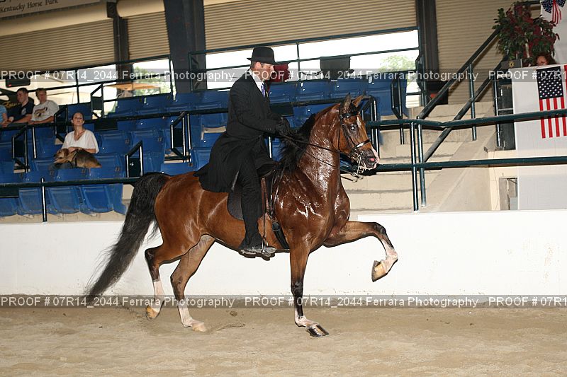 Proof 07R14_2044