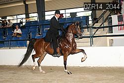 07R14_2044 proof