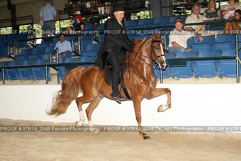 Proof 07R14_2048