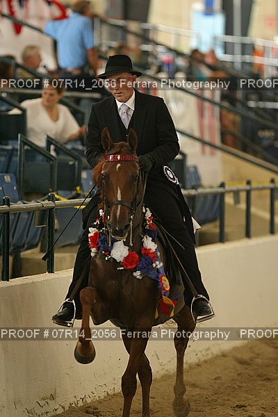 Proof 07R14_2056