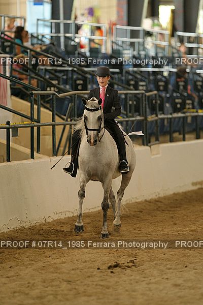 Proof 07R14_1985