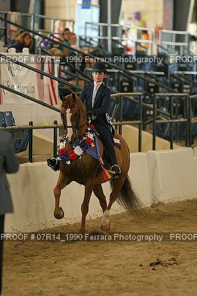 Proof 07R14_1990