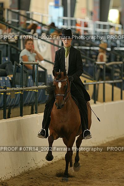 Proof 07R14_2002