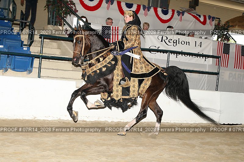Proof 07R14_2028