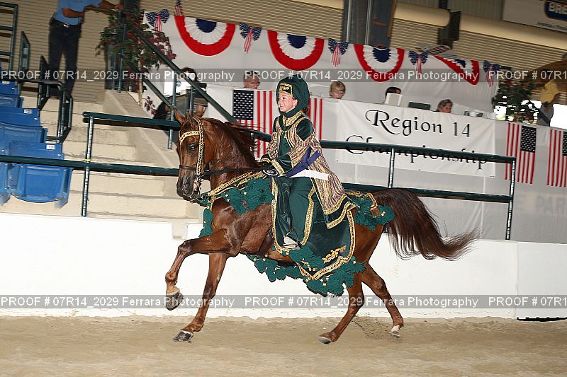 Proof 07R14_2029