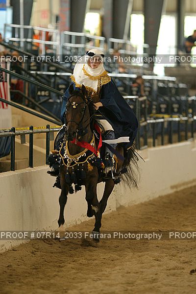 Proof 07R14_2033
