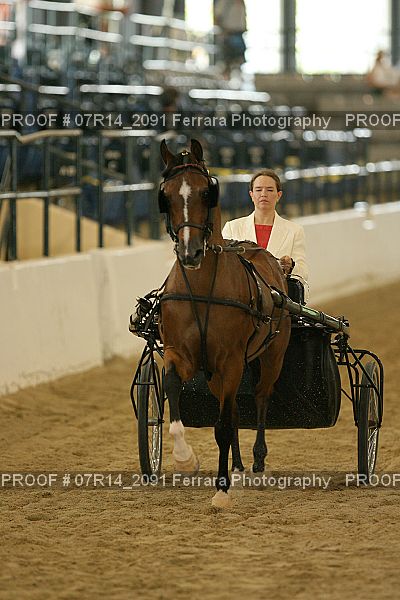Proof 07R14_2091