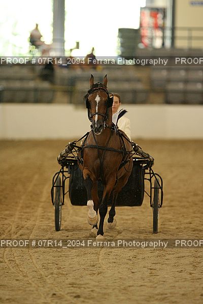Proof 07R14_2094