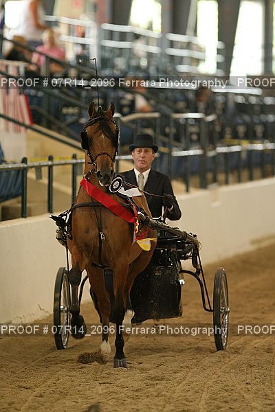Proof 07R14_2096