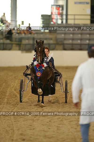 Proof 07R14_2098