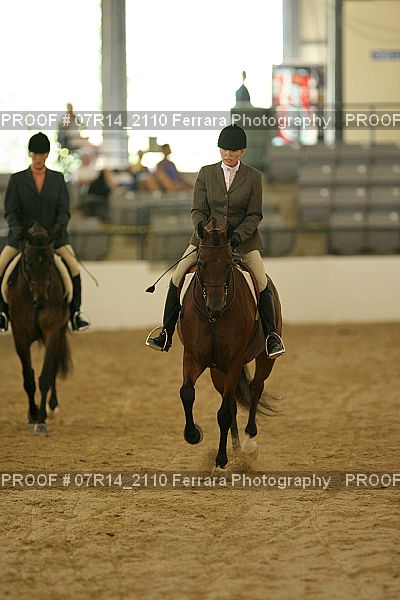 Proof 07R14_2110