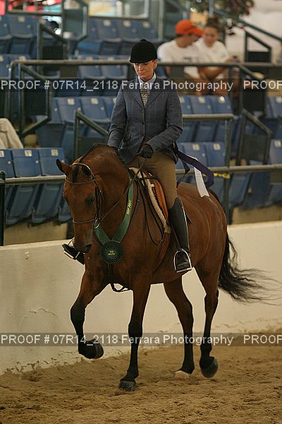 Proof 07R14_2118