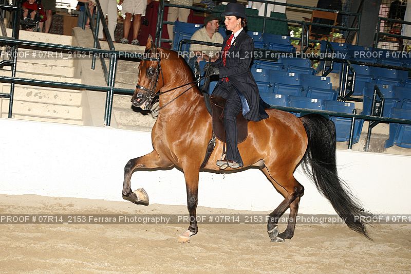 Proof 07R14_2153