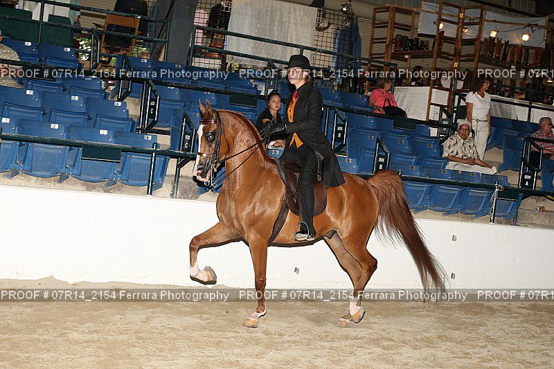 Proof 07R14_2154