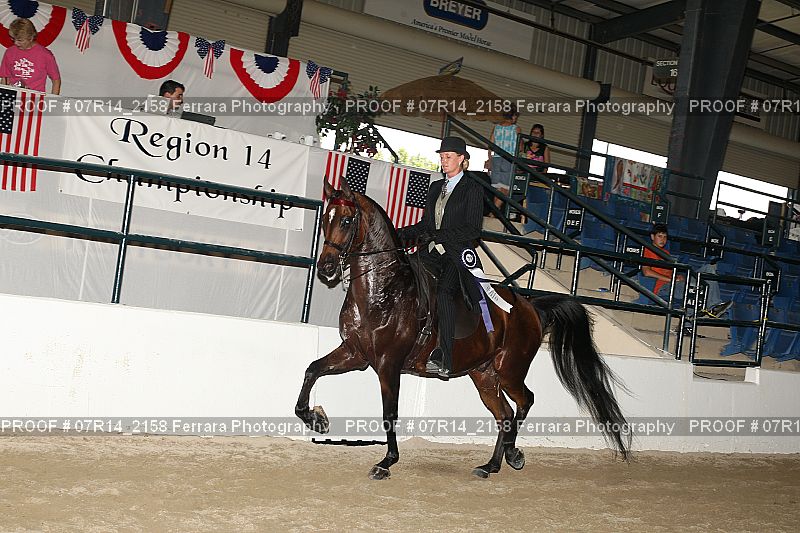 Proof 07R14_2158