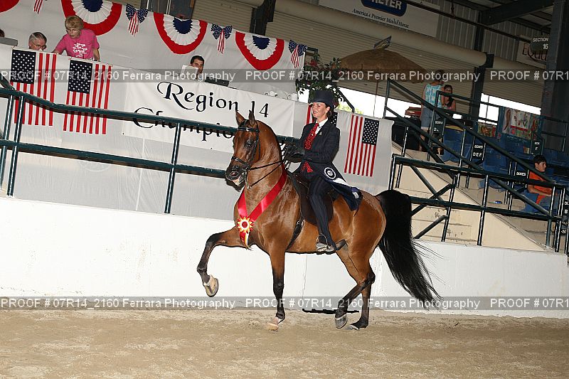 Proof 07R14_2160