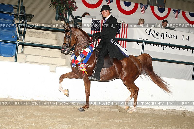 Proof 07R14_2161