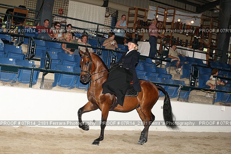 Proof 07R14_2181