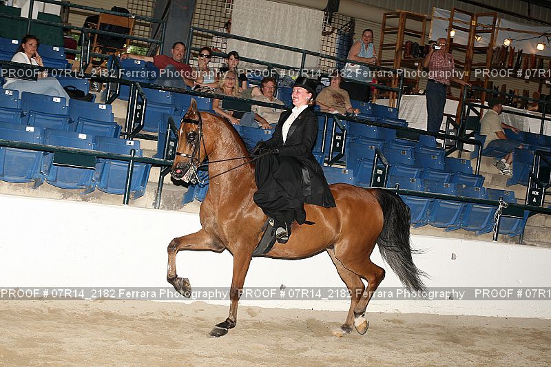 Proof 07R14_2182