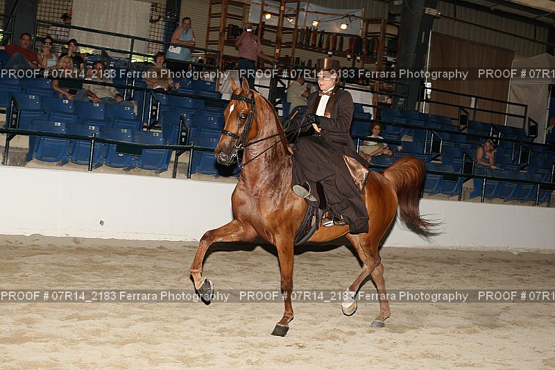 Proof 07R14_2183
